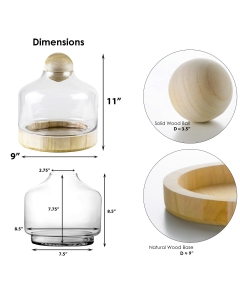 Danish Glass Terrarium Dome Cloche with Ball Stopper and Wood Base H-11.5" x D-3" Clear (Wholesale Pack of 4)