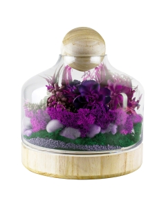 Danish Glass Terrarium Dome Cloche with Ball Stopper and Wood Base H-11.5" x D-3" Clear (Wholesale Pack of 4)