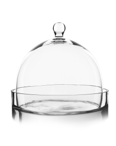 Glass Dome Cloche Plant Terrarium Bell with Glass Tray 8.5" x 8.5" Clear 