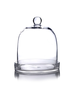 Glass Dome Cloche Plant Terrarium Bell with Glass Tray 11" x 7.5" Clear (Wholesale Pack of 2)