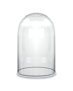 Glass Dome Cloche Decorative Plant Terrarium Bell Jars H-10.5" x W-6" Clear 