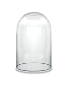 Glass Dome Cloche Decorative Plant Terrarium Bell Jars