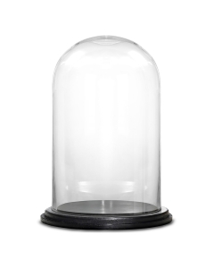 Glass Dome Cloche Decorative Plant Terrarium Bell Jars with Wood Base H-20" x W-12" Clear