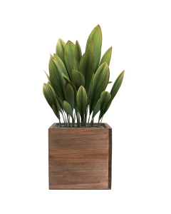 10 inches wood planter box