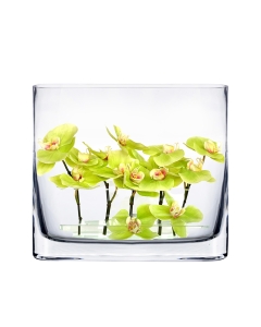 Glass Book Vase, Rectangle Round Edge Oval Vase, L-6"/8"/10"/12" x W-1.75" x H-7", Pack of 6 pcs-6"