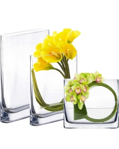 glass rectangle vases for christmas