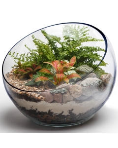Glass Slanted Cut Asymmetrical Glass Bowl Vase Plant Terrarium Pod H-11" x D-10" Clear ( Wholesale Pack of 2)