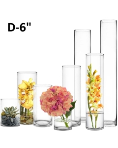 glass cylinder vases