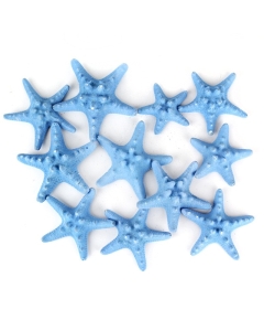 3"-4" Baby Blue Knobby Horned Sea Star Vase Fillers