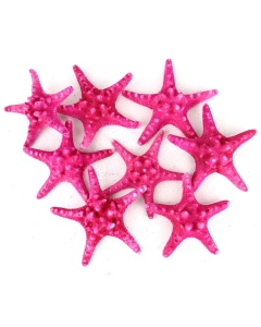 5"-6" Fuchsia Pink Knobby Horned Sea Star Vase Fillers