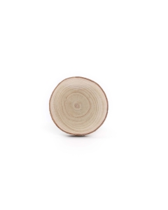 thick wood slice