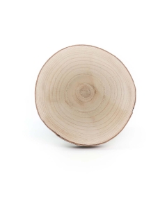 wood slices with bark