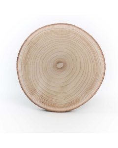 big wood slice with bark