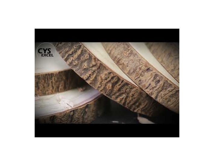 Thick Natural Wood Slices With Bark, 8'', 10'', 12''