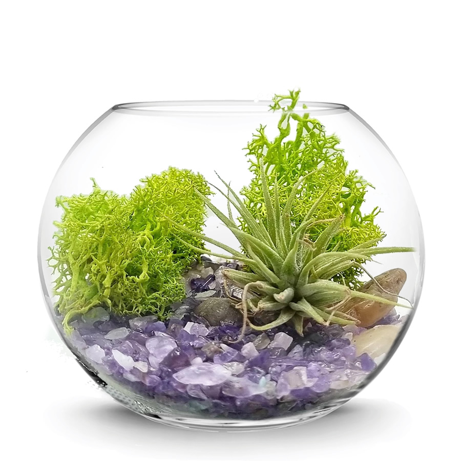Clear Glass Fish Bowl Bubble Terrarium Vase Wholesale Bulk Discount